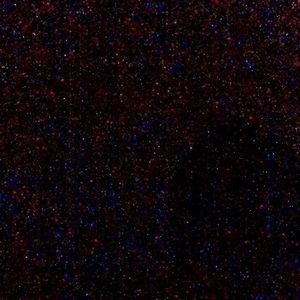 Meet your Posher, Jadarion